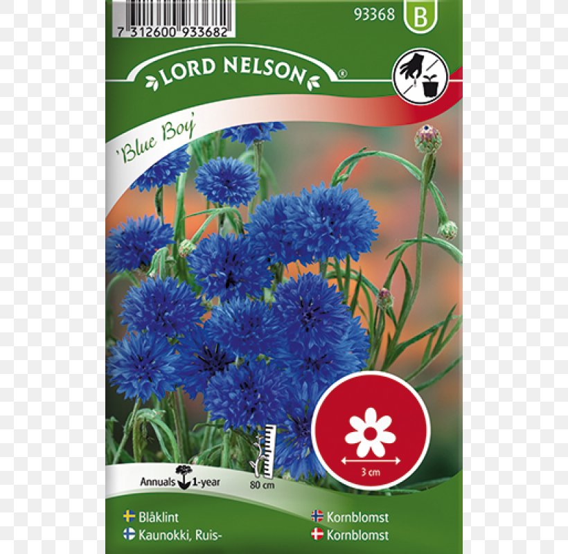 Cornflower Seed Marigold Annual Plant, PNG, 800x800px, Cornflower, Annual Plant, Aster, Black, Blue Download Free