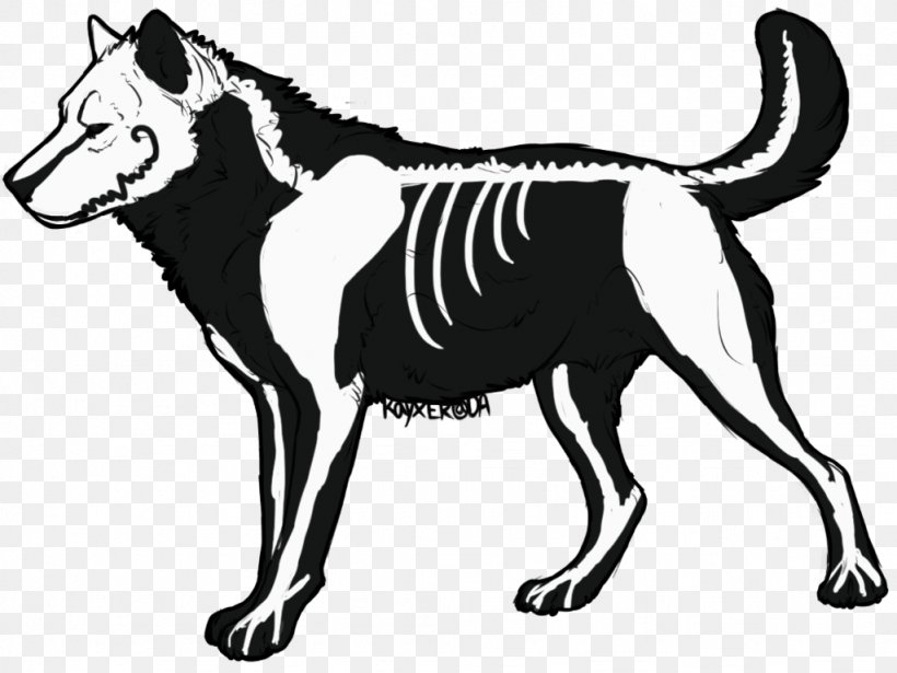 Dog Drawing Skeleton Clip Art, PNG, 1024x768px, Dog, Anatomy, Animal, Art,  Artwork Download Free