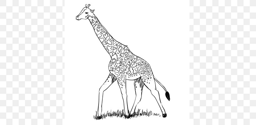The Giraffe That Walked To Paris Drawing Northern Giraffe Line Art Pencil, PNG, 650x400px, Giraffe That Walked To Paris, Animal, Animal Figure, Artwork, Black And White Download Free