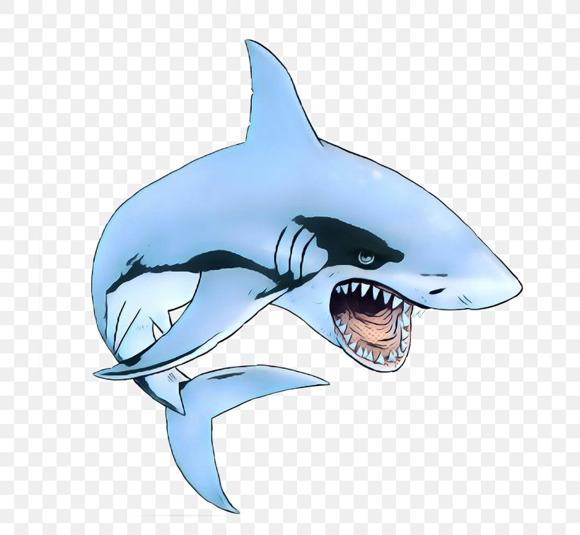 Tiger Shark Killer Whale Dolphin Requiem Sharks, PNG, 768x757px, Tiger Shark, Biology, Bull Shark, Carcharhiniformes, Cartilaginous Fish Download Free