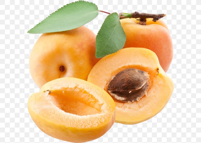 Apricot Food Fruit, PNG, 600x583px, Apricot, Apricot Kernel, Dried Apricot, Food, Fruit Download Free