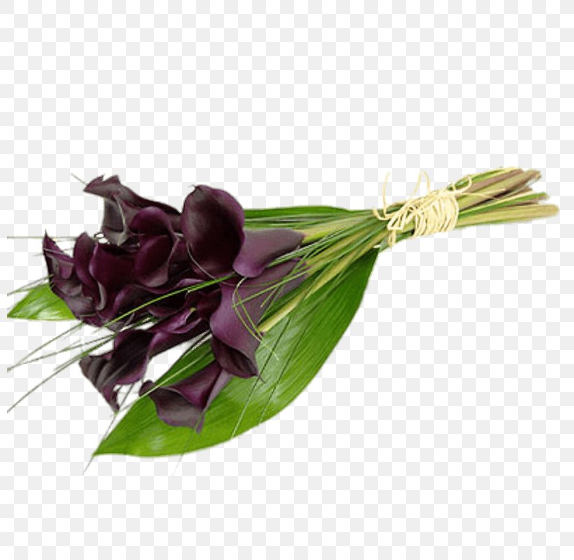Arum-lily Bog Arum Lilium Flower Bouquet, PNG, 800x800px, Arumlily, Arums, Bloemisterij, Bog Arum, Calla Lily Download Free