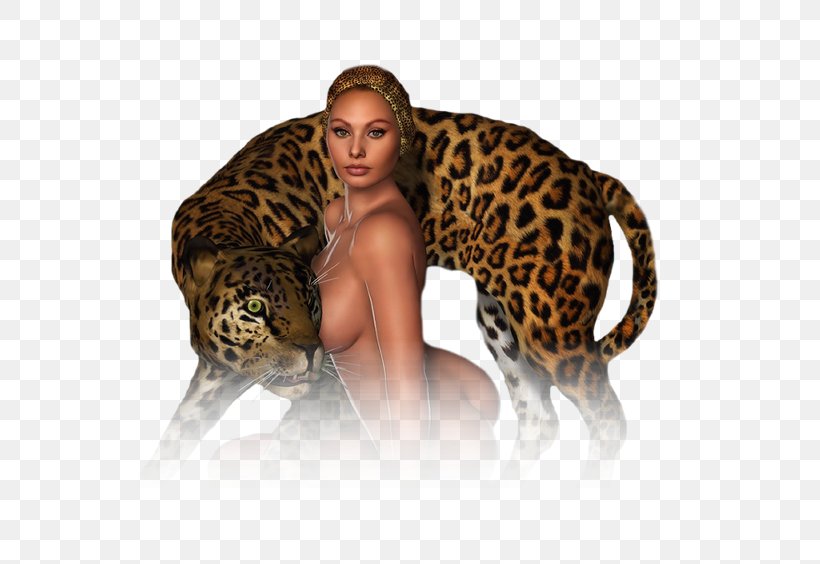 Jaguar Leopard Ocelot Cheetah Tiger, PNG, 558x564px, Jaguar, Animal, Big Cats, Carnivoran, Cat Like Mammal Download Free