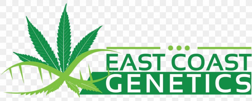 Logo Hemp Leaf Product Font, PNG, 1100x445px, Logo, Brand, Genetics, Grass, Green Download Free