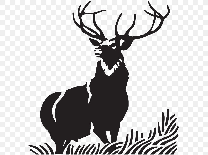 Red Deer Elk Moose Clip Art, PNG, 600x611px, Deer, Antler, Art, Artwork, Black And White Download Free