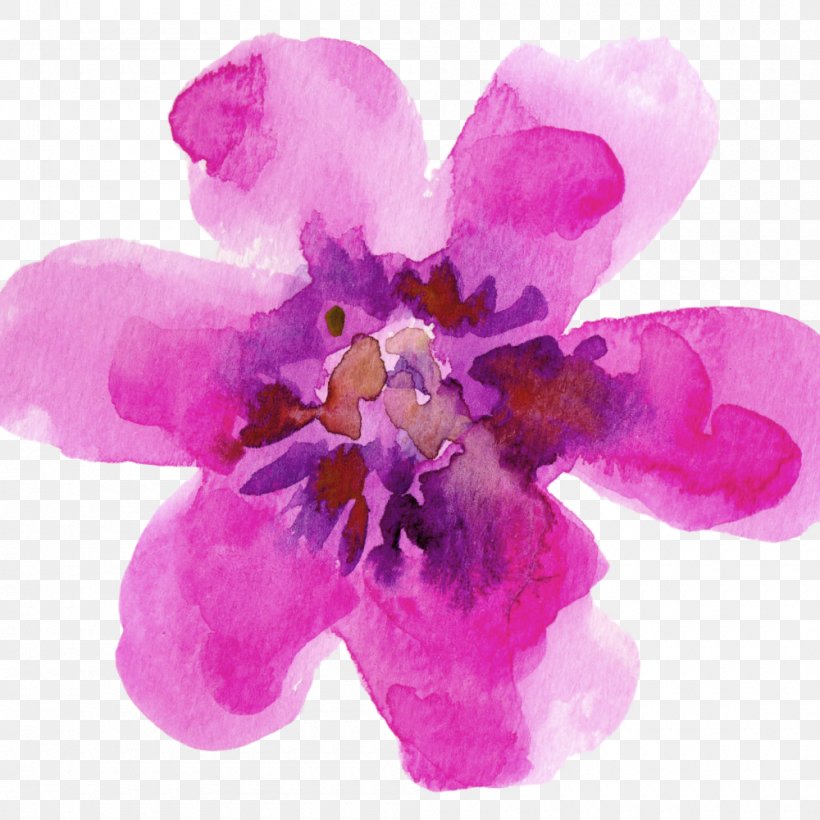 Watercolour Flowers Watercolor Painting Drawing Paper, PNG, 1000x1000px, Watercolour Flowers, Drawing, Flower, Flowering Plant, Gouache Download Free
