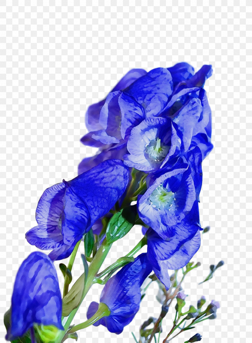 Blue Rose, PNG, 1200x1636px, Watercolor, Blue, Blue Rose, Bluebonnet, Cobalt Download Free