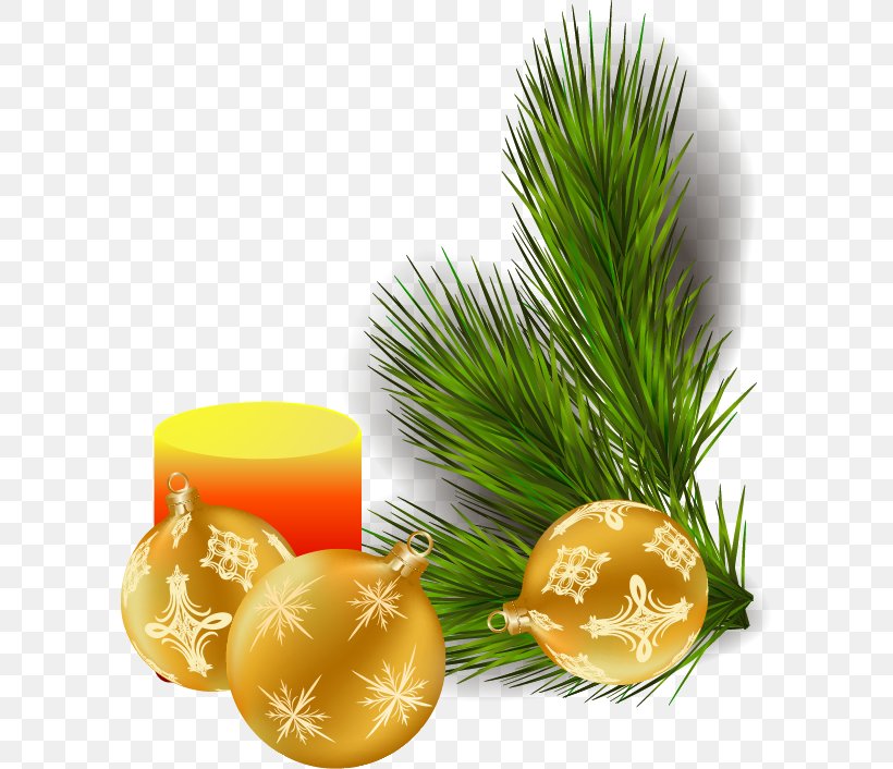 Christmas Tree Branch, PNG, 598x706px, Christmas, Ball, Bolas, Branch, Christmas Ornament Download Free