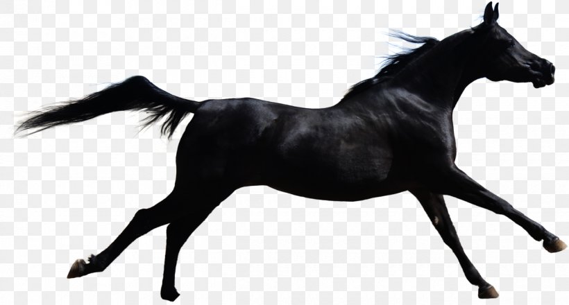 Horse Stallion Mane Clip Art, PNG, 1220x655px, Horse, Black And White, Cutting, Deviantart, Equus Download Free