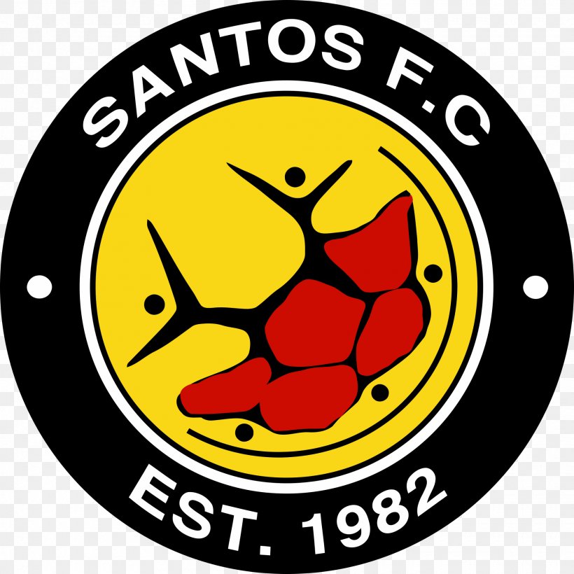 Santos F.C. Cape Town Mamelodi Sundowns F.C. Premier Soccer League Santos FC, PNG, 1920x1920px, Santos Fc, Ajax Cape Town Fc, Area, Association, Baroka Fc Download Free