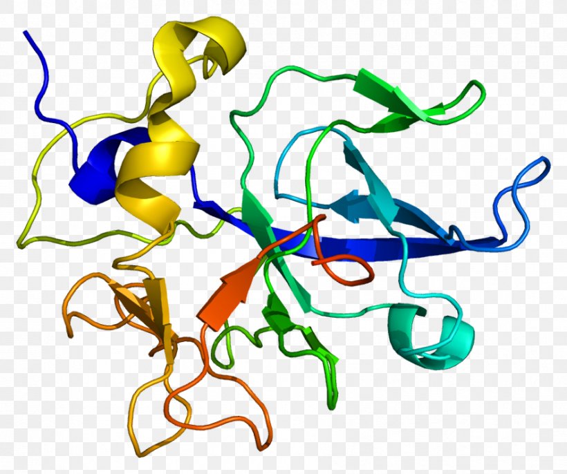 SCYE1 Wikipedia Protein Aminoacyl TRNA Synthetase Transfer RNA, PNG, 887x743px, Watercolor, Cartoon, Flower, Frame, Heart Download Free