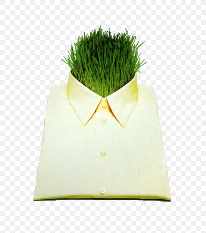 Shirt Suit Clothing, PNG, 720x928px, Shirt, Clothing, Costume, Designer, Grass Download Free
