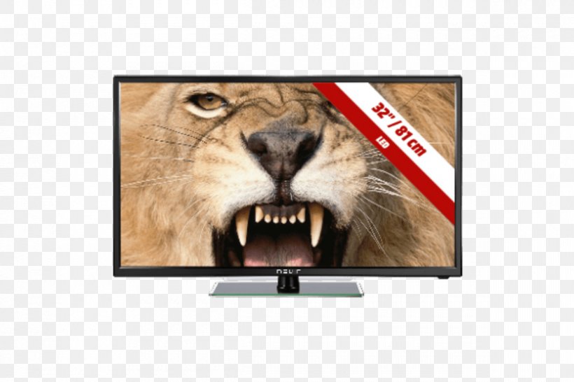 TV NEVIR 20 12V USB Black LED-backlit LCD HD Ready HDMI High-definition Television, PNG, 1200x800px, Ledbacklit Lcd, Brand, Cat Like Mammal, Digital Video Recorders, Hd Ready Download Free