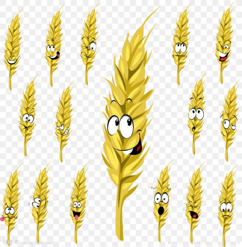 Wheat Cartoon Drawing Stock Illustration, PNG, 1001x1024px, Wheat, Cartoon,  Commodity, Drawing, Ear Download Free