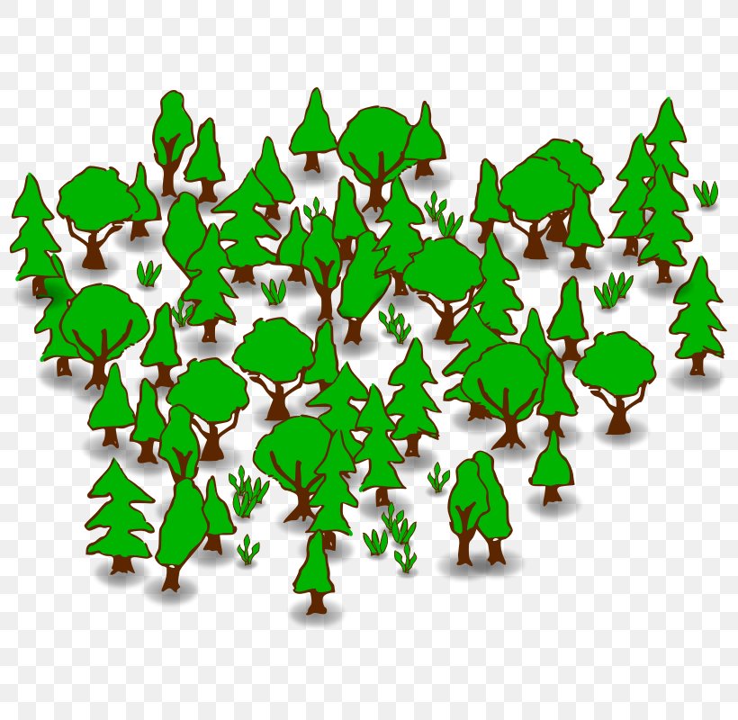 Forest Clip Art, PNG, 800x800px, Forest, Christmas, Christmas Decoration, Christmas Ornament, Christmas Tree Download Free