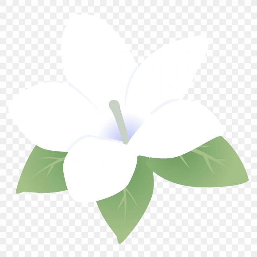 Green Leaf White Plant Flower, PNG, 1200x1200px, Green, Anthurium, Flower, Leaf, Logo Download Free