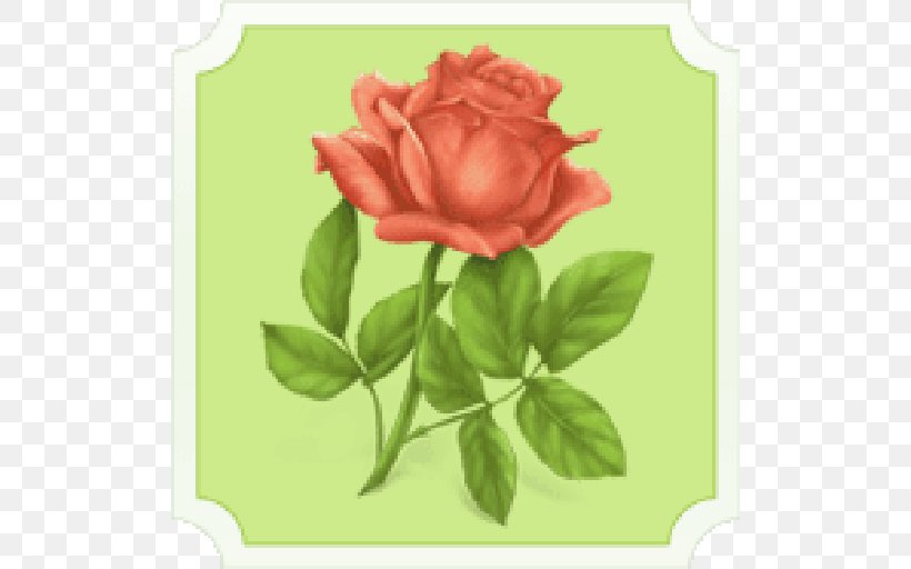 Islam Allah Love Muslim Marriage Poems, PNG, 512x512px, Islam, Allah, Cut Flowers, Floribunda, Flower Download Free