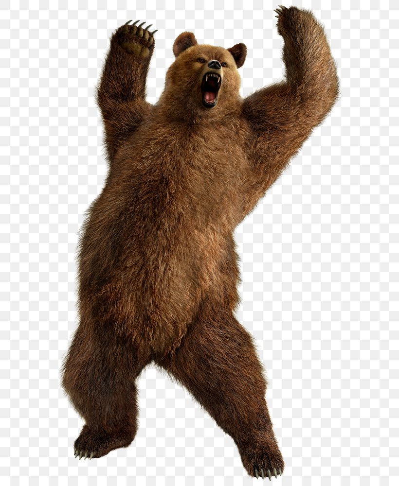 Polar Bear American Black Bear Grizzly Bear, PNG, 663x1000px, Polar Bear, Alaska Peninsula Brown Bear, American Black Bear, Bear, Brown Bear Download Free