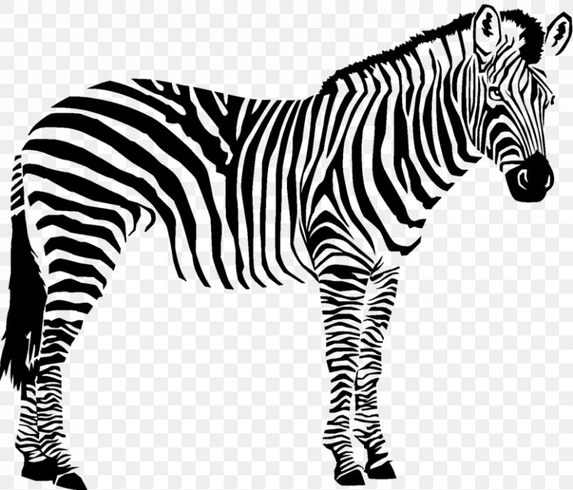 Quagga Animals Black And White Wildlife, PNG, 850x727px, Quagga, Animal, Animal Figure, Animal Welfare, Animals Black And White Download Free