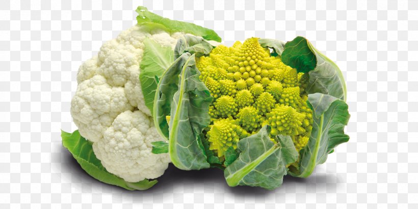 Romanesco Broccoli Cauliflower Broccoflower Vegetable, PNG, 1250x628px, Romanesco Broccoli, Brassica Oleracea, Broccoflower, Broccoli, Cabbage Download Free