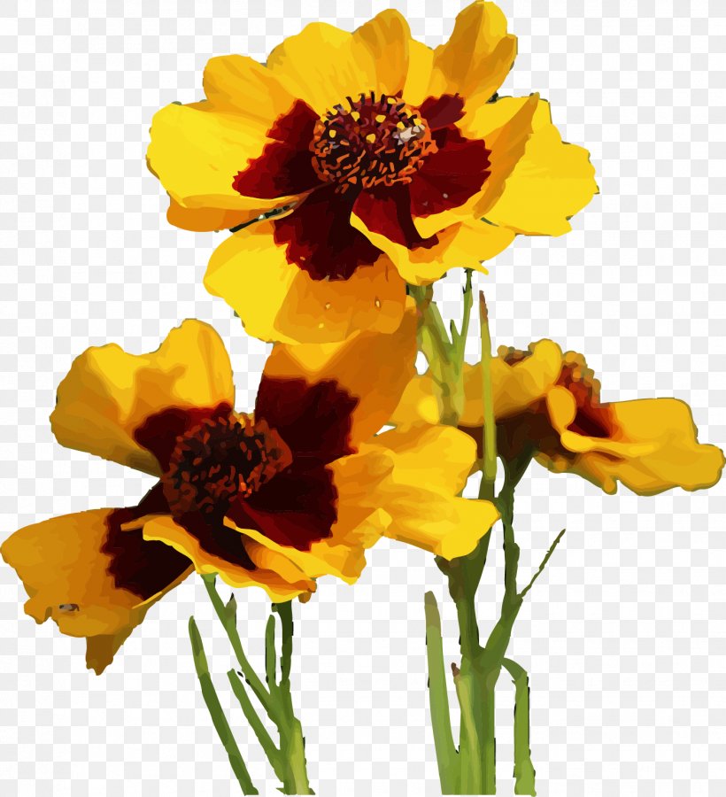 Flowering Tea Floral Design Chrysanthemum Xd7grandiflorum, PNG, 1417x1556px, Flowering Tea, Chrysanthemum, Chrysanthemum Xd7grandiflorum, Cut Flowers, Daisy Family Download Free