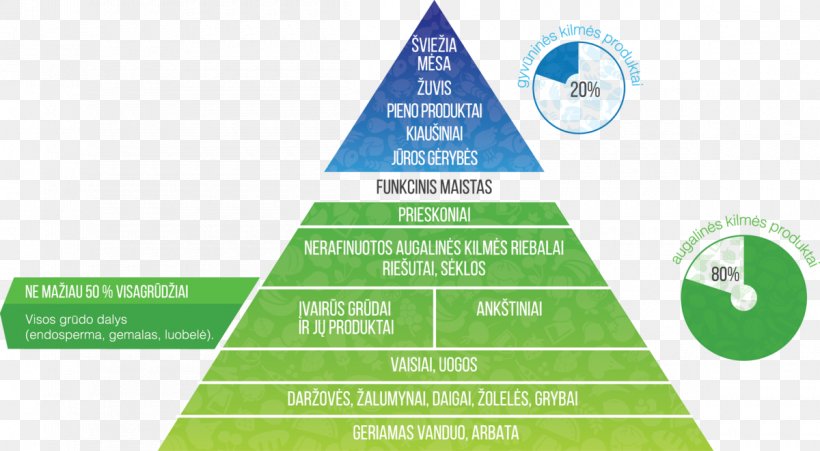 Food Eating Health Carbohydrate Fat, PNG, 1200x661px, Food, Allergen, Brand, Carbohydrate, Diagram Download Free