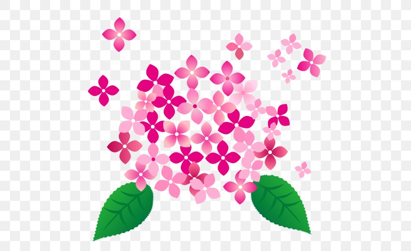 Pink Hydrangea Flower., PNG, 500x500px, French Hydrangea, Color, Flora, Floral Design, Flower Download Free