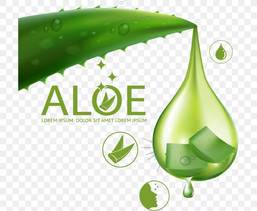 Aloe Vera Euclidean Vector Skin Care, PNG, 703x673px, Aloe Vera, Aloe, Alternative Medicine, Bottle, Brand Download Free
