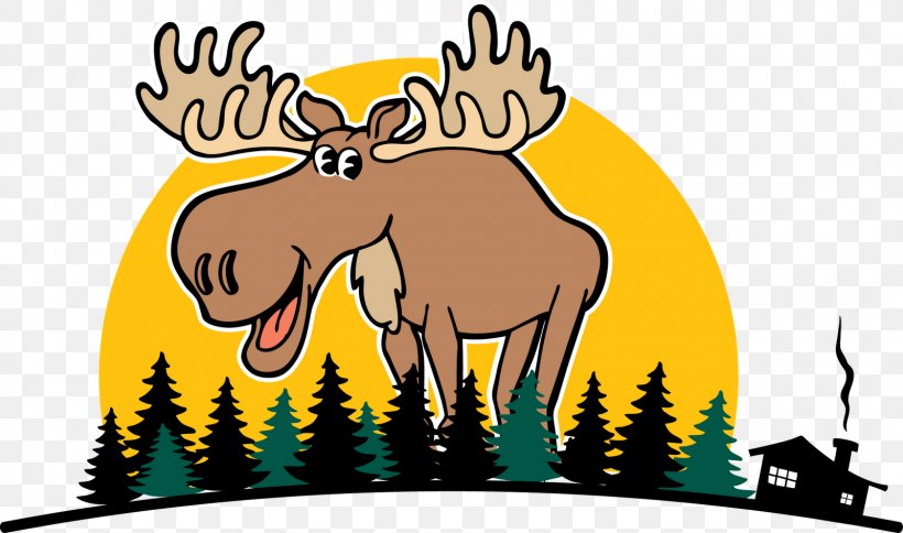 Bullwinkle J. Moose Deer Drawing Clip Art, PNG, 1600x946px, Moose, Animal Track, Antler, Bullwinkle J Moose, Cartoon Download Free