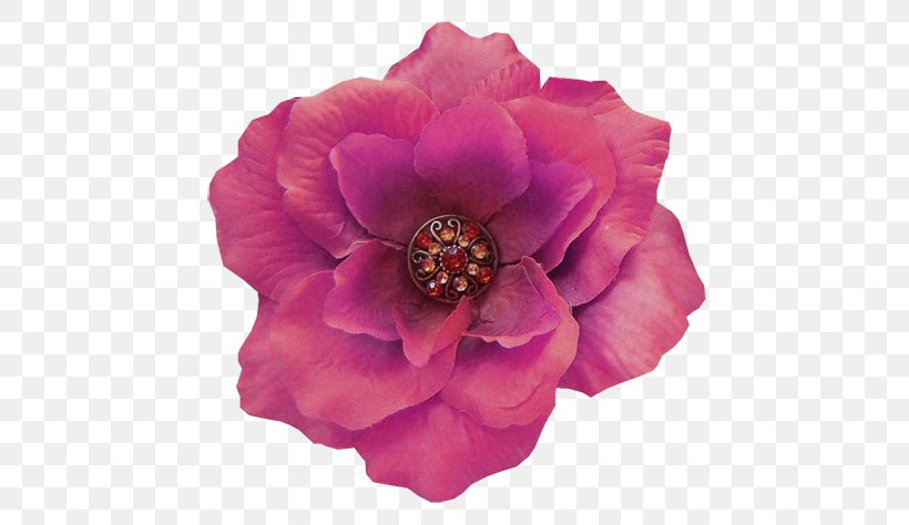 Centifolia Roses Cut Flowers Peony Petal Pink M, PNG, 500x474px, Centifolia Roses, Cut Flowers, Flower, Flowering Plant, Magenta Download Free