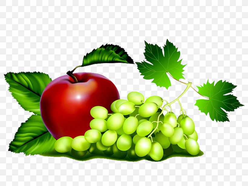 Fruit Wine Grape Apple, PNG, 1024x768px, Fruit, Apple, Diet Food, Dried Fruit, Eating Download Free