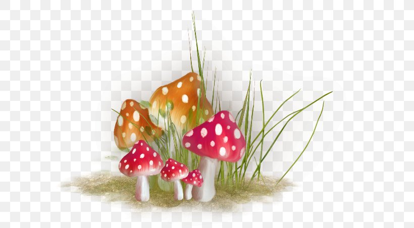 Mushroom Idea, PNG, 600x452px, Mushroom, Christmas Ornament, Drawing, Fruit, Fungus Download Free