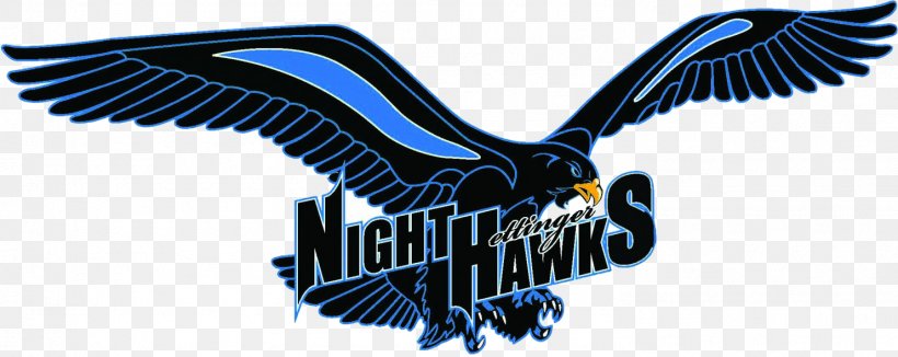Nighthawks KNDC Hettinger Public Elementary Scranton, PNG, 1483x591px, Nighthawks, Accipitriformes, Beak, Bird, Bird Of Prey Download Free