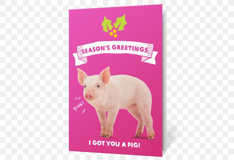 Piglet Gift Oxfam Christmas, PNG, 560x560px, Pig, Biblical Magi, Charity, Christmas, Christmas Card Download Free