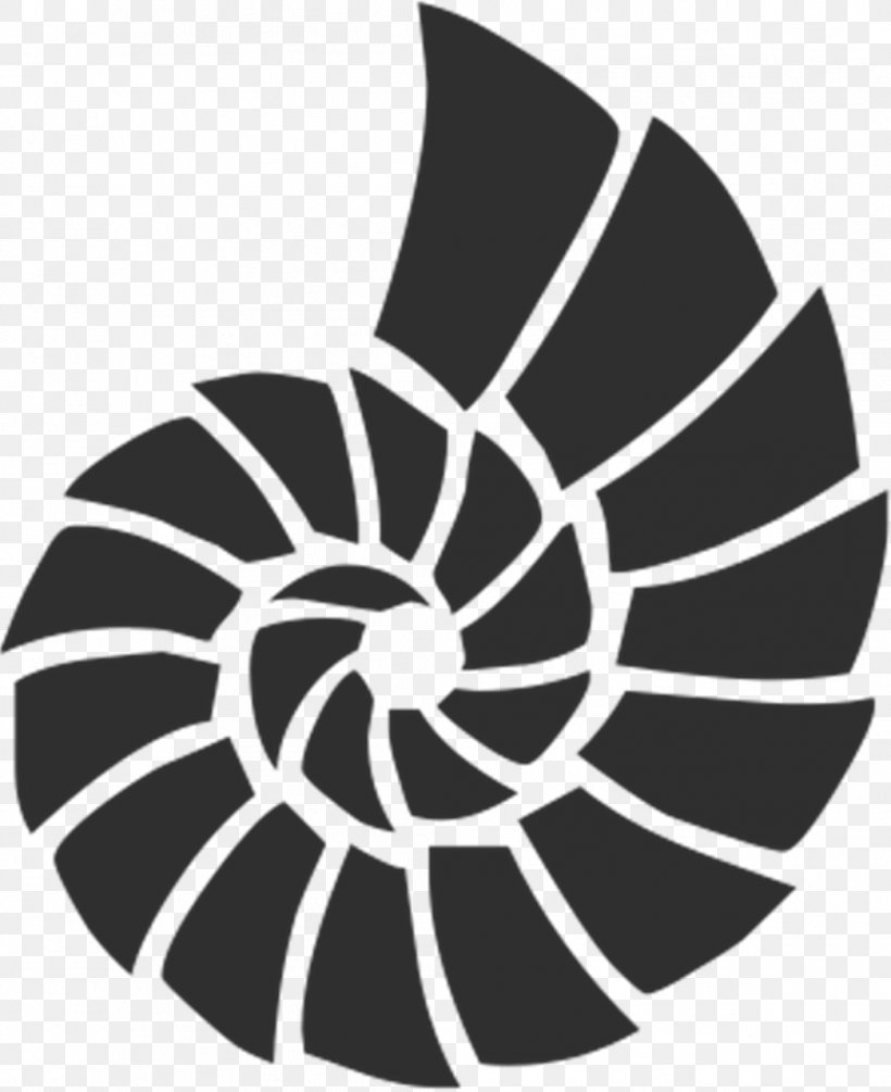 Stencil Seashell Painting, PNG, 1044x1280px, Stencil, Airbrush, Beach, Black And White, Conch Download Free
