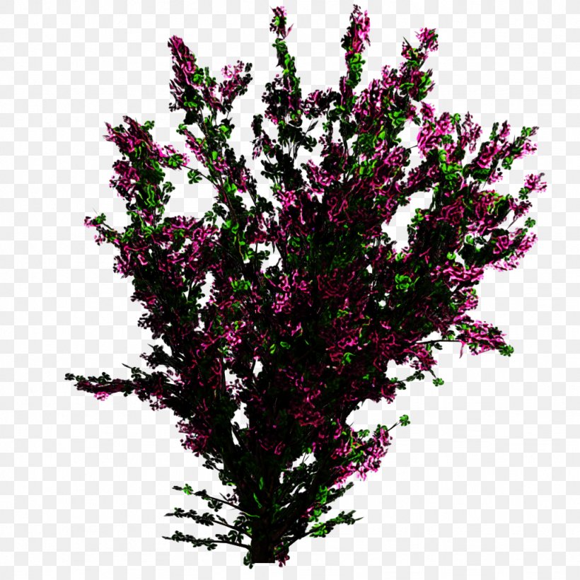 Family Tree Background, PNG, 1024x1024px, Bougainvillea, Annual Plant, Branch, Buddleia, Cut Flowers Download Free