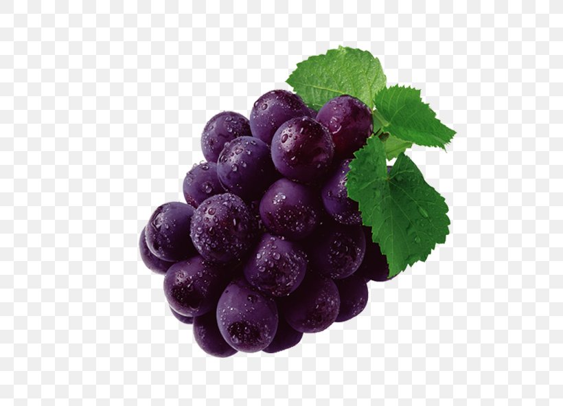 Grape Seed Extract Grape Leaves Grapevines Proanthocyanidin, PNG, 591x591px, Grape, Berry, Bilberry, Blackberry, Blueberry Download Free