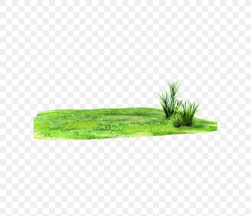 Grassland Clip Art, PNG, 600x706px, 3d Rendering, Grassland, Grass, Grass Family, Green Download Free