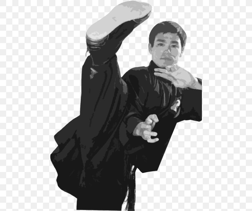 I Am Bruce Lee Tao Of Jeet Kune Do Chinese Martial Arts, PNG, 494x687px, Bruce Lee, Black, Black And White, Brandon Lee, Bruce Li Download Free