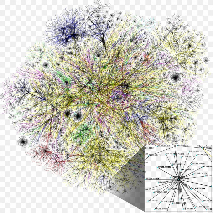 Internet Access Opte Project Global Internet Usage, PNG, 1024x1024px, Internet, Chrysanths, Computer Network, Domain Name, Flora Download Free