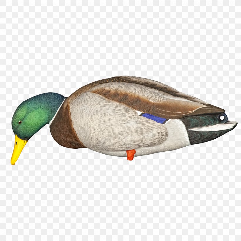 Mallard Goose Duck Decoy, PNG, 2000x2000px, Mallard, Animal, Anseriformes, Beak, Bird Download Free
