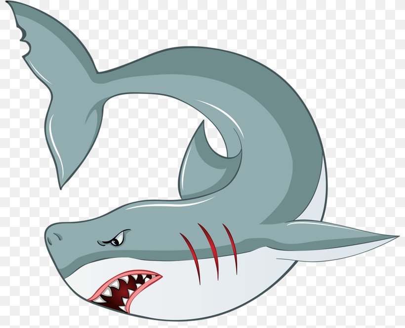 Great White Shark Fish Royalty-free, PNG, 800x665px, Shark, Batoidea, Carcharhiniformes, Cartilaginous Fish, Cartoon Download Free