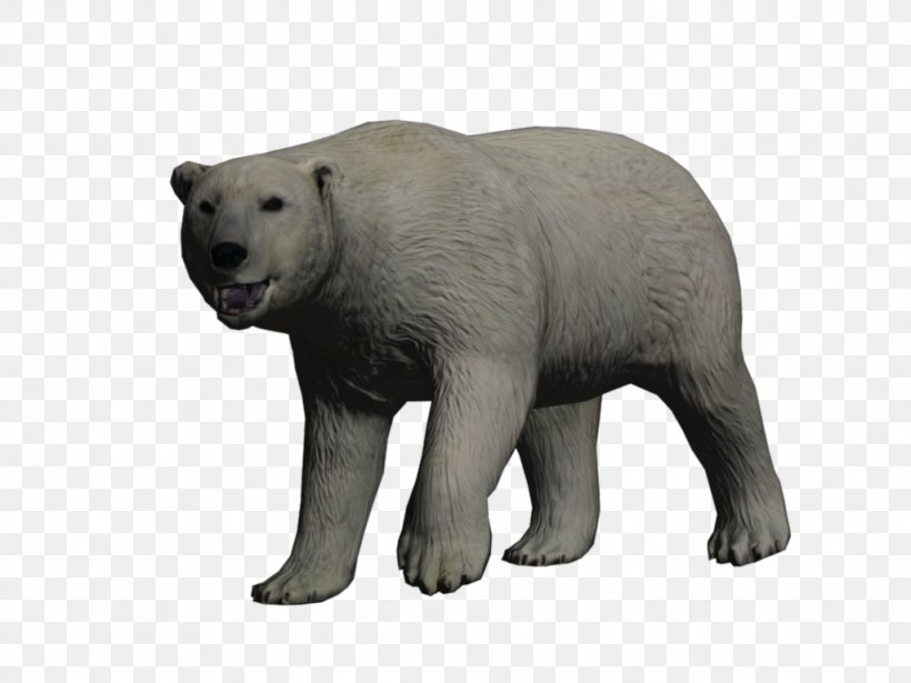 Polar Bear Brown Bear Reindeer Tundra, PNG, 1024x768px, Polar Bear, Animal, Animal Figure, Bear, Biome Download Free
