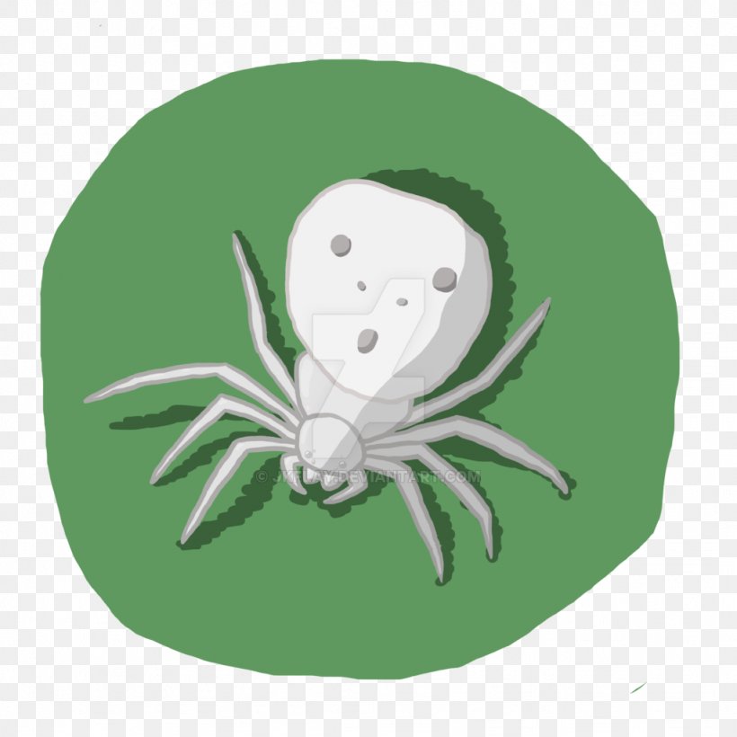 Spider Web, PNG, 1024x1024px, Drawing, Arachnophobia, Cartoon, Green, Octopus Download Free