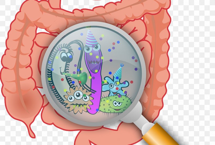 Traveler's Diarrhea Irritable Bowel Syndrome Gastrointestinal Disease, PNG, 982x663px, Watercolor, Cartoon, Flower, Frame, Heart Download Free