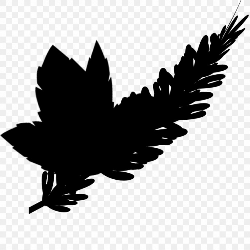 Beak Bird Of Prey Feather Font, PNG, 900x902px, Beak, Bird, Bird Of Prey, Blackandwhite, Feather Download Free