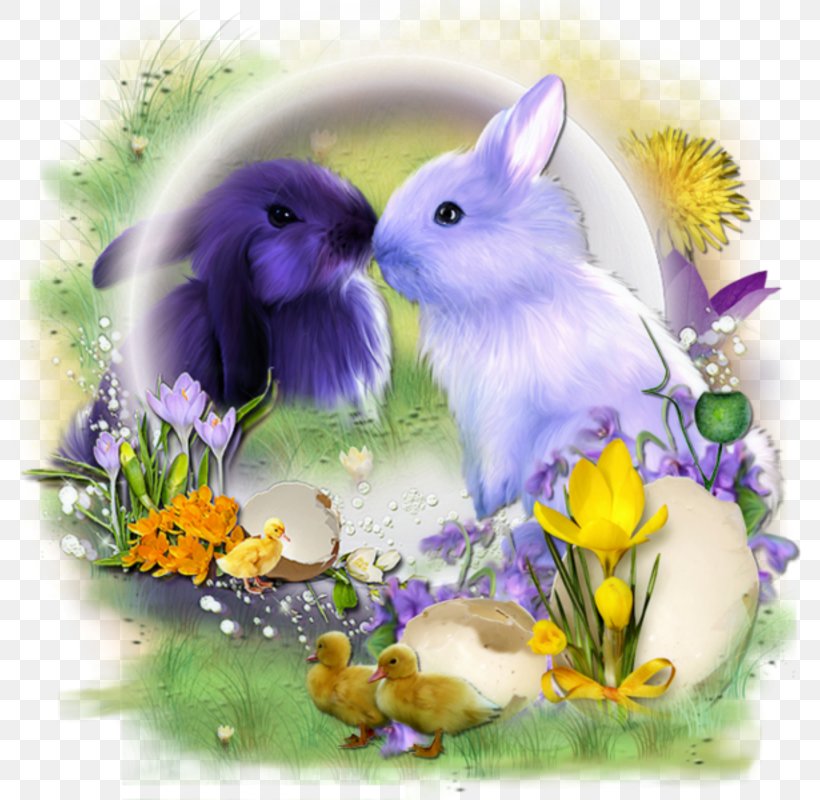 Domestic Rabbit Easter Bunny, PNG, 800x800px, Domestic Rabbit, Animaatio, Animal, Domestic Animal, Easter Download Free