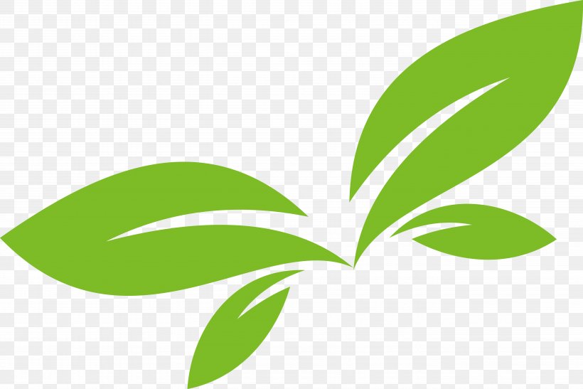 Leaf Logo Euclidean Vector, PNG, 5485x3662px, Leaf, Clip Art, Grass, Green, Leaflet Download Free