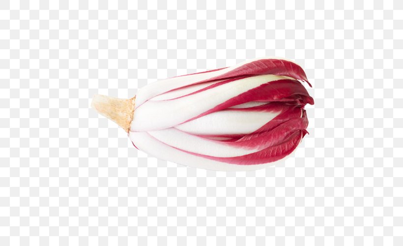 Radicchio Rosso Di Treviso Chicory Stock Photography Vegetable, PNG, 500x500px, Treviso, Can Stock Photo, Chickory, Chicory, Depositphotos Download Free