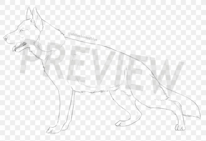 Dog Breed Line Art Sketch, PNG, 1024x704px, Dog Breed, Artwork, Black And White, Breed, Carnivoran Download Free